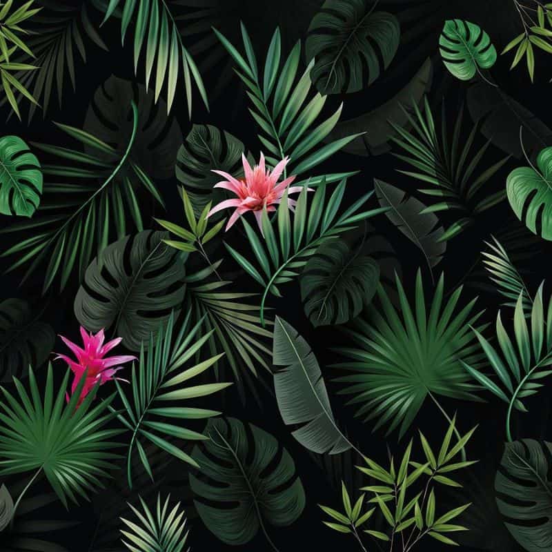 Bromelia | ShowerWall