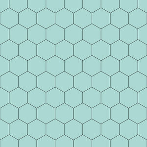 Hexagon | ShowerWall